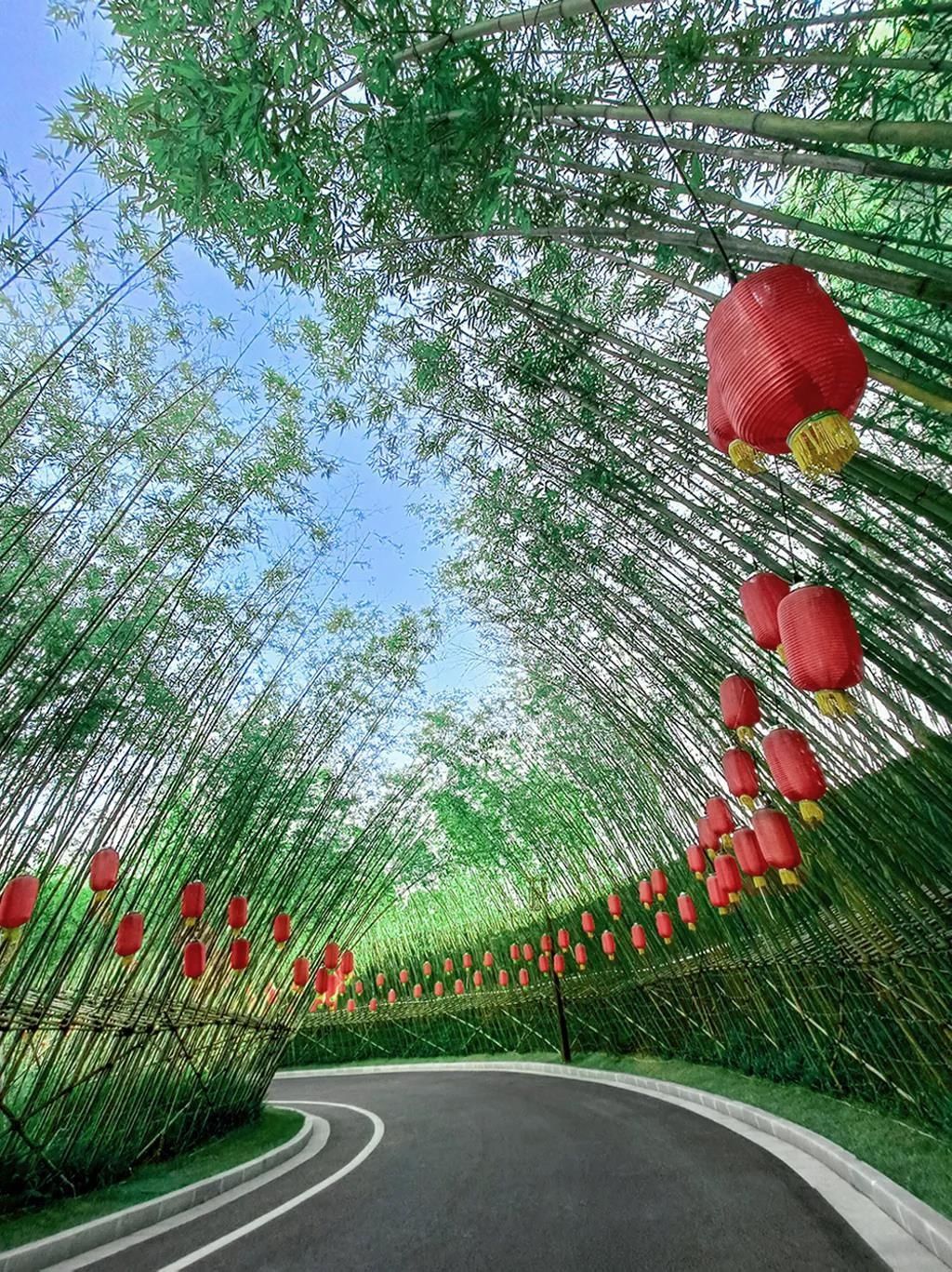 湖南省一建園林建設(shè)有限公司 湖南省一建園林建設(shè)有限公司