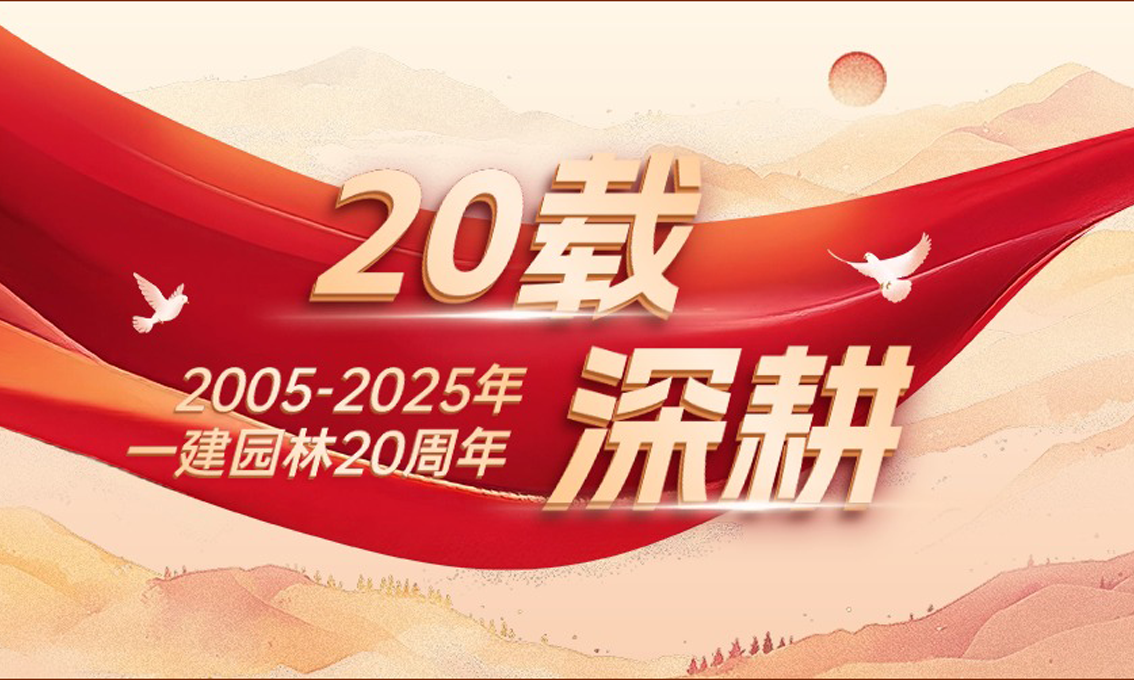 20 年征途：從一份初心，到一群人的堅(jiān)守